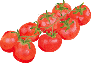Watercolor Italian Food Tomato